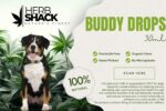 CBD Buddy Drops 30ml