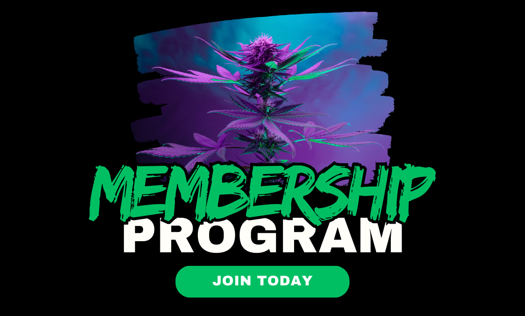 Membership Program